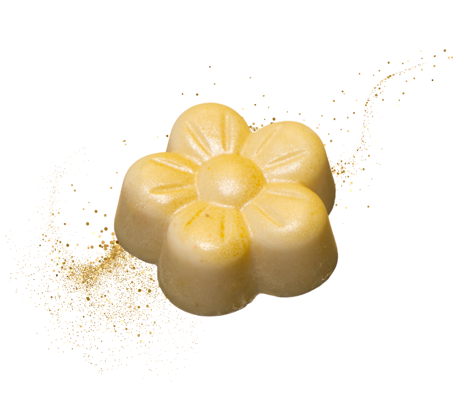 "Weiße Blüte" Praline